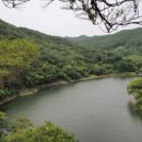 다온도서관 이미지