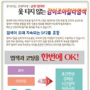 감이조아 이미지