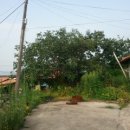 서성동010 이미지