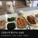 토마토호텔 이미지