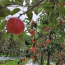 인선농장 이미지