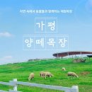 양떼목장 이미지