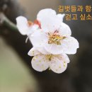 2019년 3월 3주 걷기+시행제(3/16) 이미지