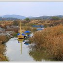 포구나무 민박 이미지