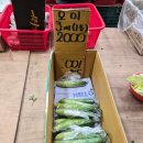 선한청과