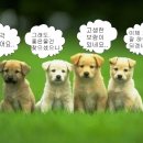 김C빌라 이미지