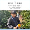 귤다방 감귤체험 까페 제주도 가볼만한곳 강력추천 명소