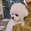 흥덕중앙로 8 이미지