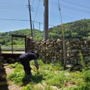 선만농장 이미지