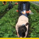 왕선중학교 이미지