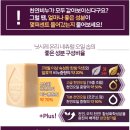 닛시레 이미지