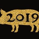 신성검도관 이미지