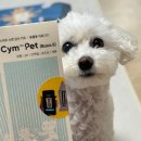 pet60다8654 | 토리의 데일리 관리 반려견 소변검사키트 Cym702 Pet 집에서 바로 확인하기