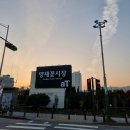 시민상가시장 | 양재꽃시장 꽃다발 포장후기, 서울양재천 매헌시민의숲 단풍구경