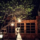 스파지오 이미지