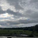 팜팜스테이 이미지