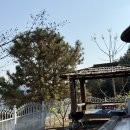 중앙치과 이미지