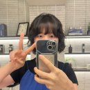 세유랑 | 준오헤어 단발맛집 세유T 내돈내산 후기💇‍♀️