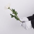 삼수갑산 Daum카페