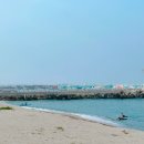 사천송림 이미지