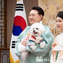 동일모터스 주식회사 이미지