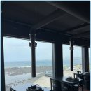 바다를 품은 돼지 이미지