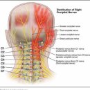 세원의원 이미지