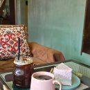 진애견 | [인천 동암/십정동] 카페 봄 BOM 후기 숨겨진 한옥감성 편한 브런치 카페 애견동반 가능