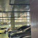 B20-1 | [야구] SSG 랜더스필드 문학구장 노브랜드 중탁 B20 직관 후기(+ 메뉴 추천, 주차)