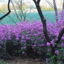 우장산공원 이미지