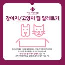 서신전주내과의원 이미지