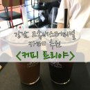 커피트리 이미지