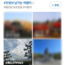 주전토종닭백숙 | 2024년 11월 11일 ~ 11월 17일 〔11월 2주 포토 일상기록〕 - 부산오륙도스카이워크, 해파랑길 산책...
