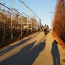 내포여행사 - 홍성군 광천로329번길 51 | 내포여행사