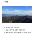 녹동온스테이 | 퇴근 후 바로 떠난 고흥 거금도 애견동반 숙소｜게르 감성 가득한 스테이수 펜션 201호 후기