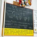 단짝즉석떡볶이