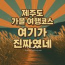 감동정비 올레 | 11월 제주도 여행 가볼만한곳 10곳