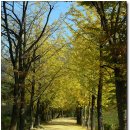 부석사 주차장 이미지