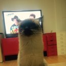 놀아줘 이미지