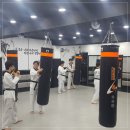 용인대 마북 태권도 이미지