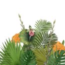 색연필 일러스트 & 보타니컬 아트 이미지