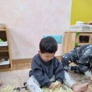 오감면발 이미지