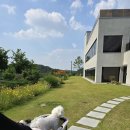카페태리 - 창원시 성산구 동산로 122 | 천안 애견동반카페 풍세 대형카페 태리온 내돈내산 후기
