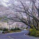 조각공원길 이미지