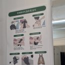 주식회사 이후 | 두피 가려움 케어 후기｜주식회사 인첸시아 두피명가 본점