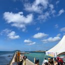 제주마중 판포 | 제주도 물고기 많은 스노쿨링 포인트 판포포구 바다수영 후기