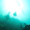 필리조트 이미지