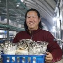 김진성농장 이미지