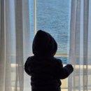 코티지 309 이미지