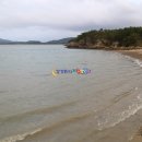 여인송횟집 | 신안 자은도 맛집 자연산회 사월포횟집 숭어건장찜 밴댕이국이 황석어튀김 섬들의 고향 신안여행